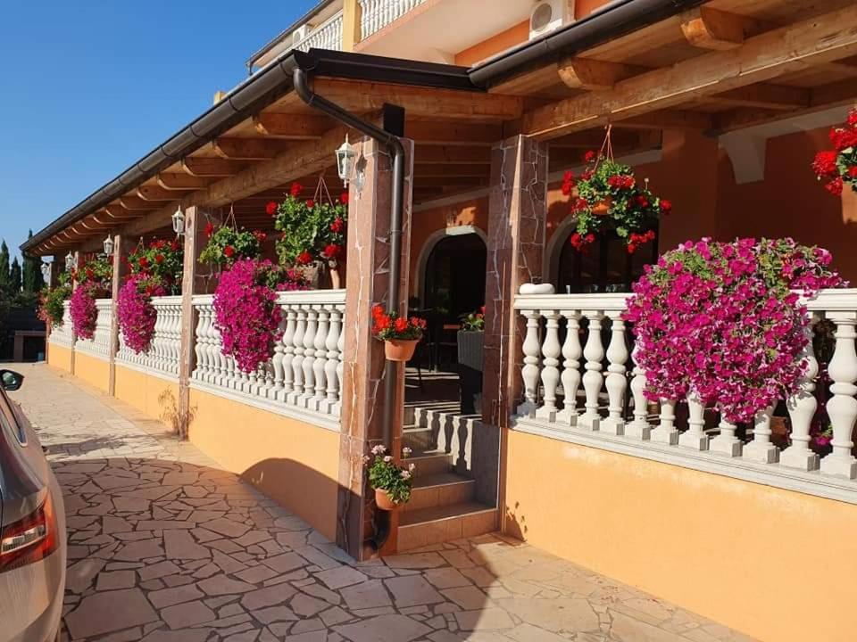 Villa Nikolina Medulin Exterior foto